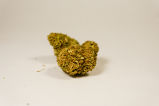 Jack Herer pour 5 grammes